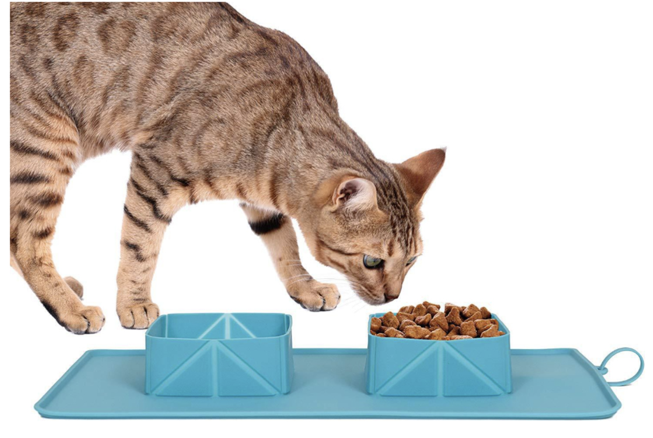 Ciotola pieghevole da viaggio in silicone per cani e gatti - immagine 4